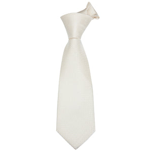 Platinum Cubed Solid Silk Tie