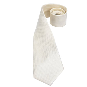 Platinum Cubed Solid Silk Tie