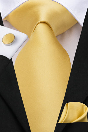 Solid Metallic Gold Silk Tie